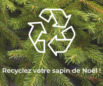 Collecte sapin de Noel