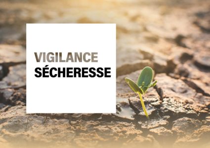 Vigilance sécheresse
