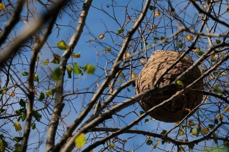 adobestock-239045009